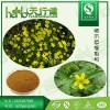 猫爪草提取物 生物碱5% 猫爪草粉 规格可定制 天行健厂家直销 现货包邮