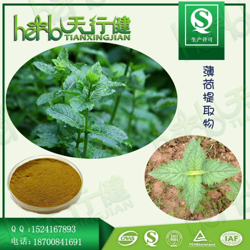 薄荷1