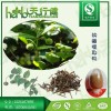 钩藤提取物 钩藤碱5% 钩藤粉 吊藤粉 钓钩藤提取物可水溶 现货直销价格 含运费