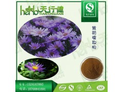 紫苑提取物10:1 返魂草提取物 青苑提取物 紫苑皂甙 喷雾干燥 规格可定制 1KG起订