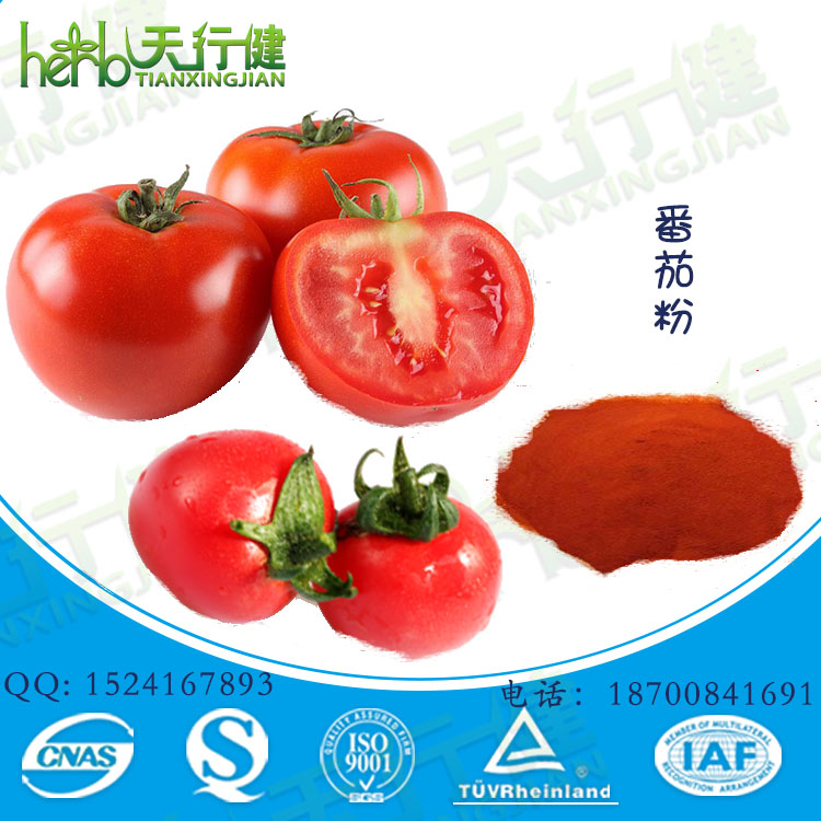 番茄粉1
