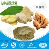 生姜粉 脱水生姜粉 小黄姜粉 干姜粉 食用生姜调料粉 老姜粉 纯姜粉 溶解性好无残留 欢迎咨询订购