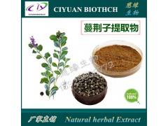 蔓荆籽提取物10:1 蔓荆子黄酮