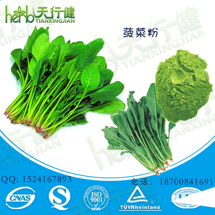 菠菜粉1