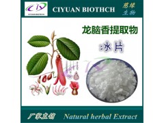 冰片提取物10:1 龙脑香提取物