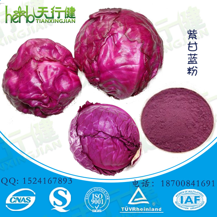 紫甘蓝粉1