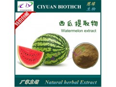 西瓜提取物10:1 西瓜汁粉 西瓜皮提取物