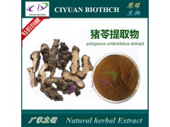 猪苓提取物10:1 猪苓多糖