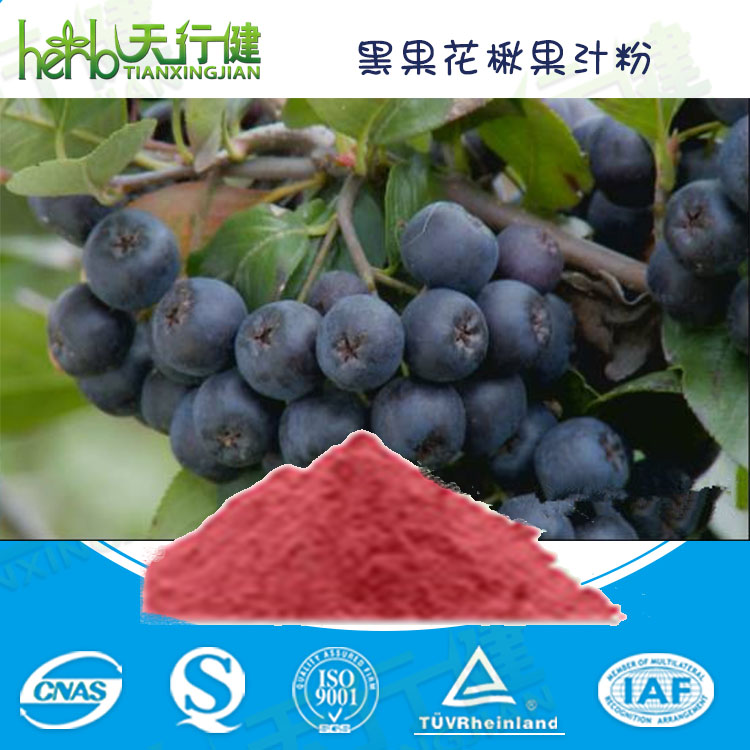 黑果花楸果汁粉 野樱莓果粉/黑果腺肋花楸果粉 不老莓果汁粉 全水溶食品级 品质保证 1KG起订