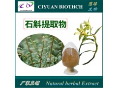 石斛提取物10:1 铁皮石斛提取物