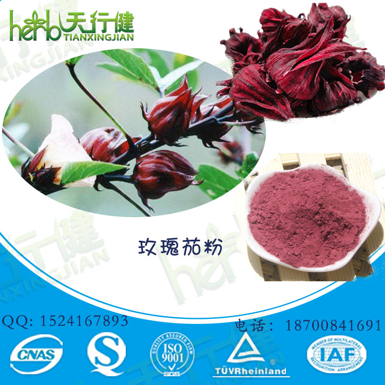 玫瑰茄粉1