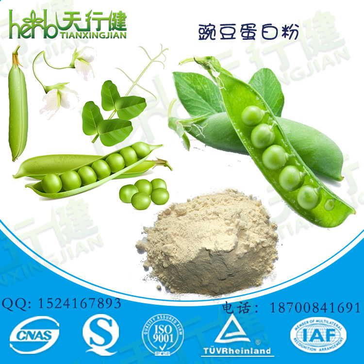 豌豆蛋白粉90% 豌豆分离蛋白 豌豆蛋白 植物蛋白粉 优质营养强化剂 食品级水溶性好 可定制 现货批发 量大从优价格