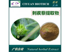 刺蒺藜提取物 刺蒺藜皂甙40% 50% 60%