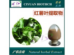 红薯叶提取物10:1 地瓜叶提取物