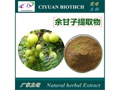 余甘子提取物10:1