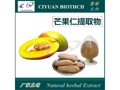 芒果仁提取物10:1 芒果籽提取物