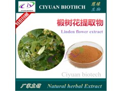 椴树花提取物10:1