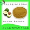 牛油果提取物/鳄梨提取物 牛油果粉 甘肃益生祥