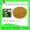 陆英提取物10:1 陆英提取液 陆英粉 甘肃源头厂家益生祥