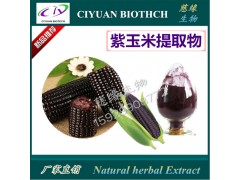 紫玉米提取物10:1 黑玉米提取物