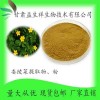 委陵菜提取物10：1 委陵菜提取液 甘肃益生祥现货