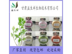 回春草提取液 回春草提取物 回春草粉 甘肃源头厂家 现货