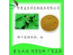 蜂斗菜提取物20:1 蜂斗菜提取液 蜂斗菜粉 甘肃益生祥 厂家直销
