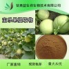 宝乐果提取物10:1 宝乐果粉 甘肃益生祥 现货