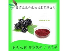 黑莓花青素 黑莓粉 甘肃益生祥生物 现货