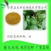 绞股蓝提取液 绞股蓝浓缩粉 绞股蓝浸膏 甘肃益生祥 现货