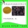 牛奶柿提取物10:1 牛奶柿提取液 牛奶柿粉 甘肃益生祥