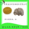树舌提取物 树舌浓缩粉 树舌粉 甘肃益生祥 现货包邮 直销
