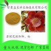 菩提花提取物 菩提花粉 甘肃益生祥 菩提花浸膏 直销