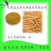 太子参提取物10:1 太子参粉 甘肃益生祥 1公斤起订