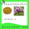 缬草提取物 缬草粉 缬草浸膏 甘肃益生祥 厂家直销