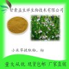 小米草提取物 多种提取规格5:1 10:1 20:1 甘肃益生祥