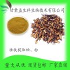 桂枝提取物10:1 桂枝粉 甘肃益生祥 现货