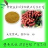 吴茱萸碱 吴茱萸提取物10:1 吴茱萸粉 甘肃益生祥 现货