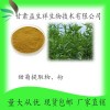 甜菊糖甙 甜菊提取物10:1 甜菊粉 甘肃益生祥 现货包邮 直销