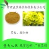 菊粉 菊花浓缩粉 甘肃益生祥 现货包邮 厂家直销