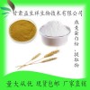 燕麦提取物10:1 燕麦粉 甘肃益生祥  1公斤起订