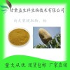 向天果提取物 向天果浓缩粉 甘肃益生祥 现货包邮