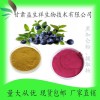 黑加仑汁粉 黑加仑粉 黑加仑速溶粉 甘肃益生祥 现货包邮