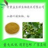 山楂叶提取物10:1 山楂叶提取液 山楂叶浸膏粉 甘肃益生祥