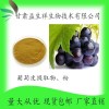 葡萄皮提取物10:1 葡萄皮粉 葡萄皮浓缩粉 甘肃益生祥