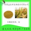 米糠提取物10;1 米糠粉 米糠浓缩粉 甘肃益生祥 现货包邮