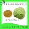 卷心菜提取物10:1 卷心菜粉 卷心菜浓缩粉 甘肃益生祥