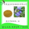 露水草提取液 露水草提取物10:1 露水草粉 甘肃益生祥