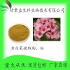 岩白菜素 岩白菜提取物10:1 岩白菜粉 甘肃益生祥 现货包邮