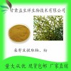 桑寄生提取物10:1 桑寄生浓缩粉 桑寄生粉 甘肃益生祥